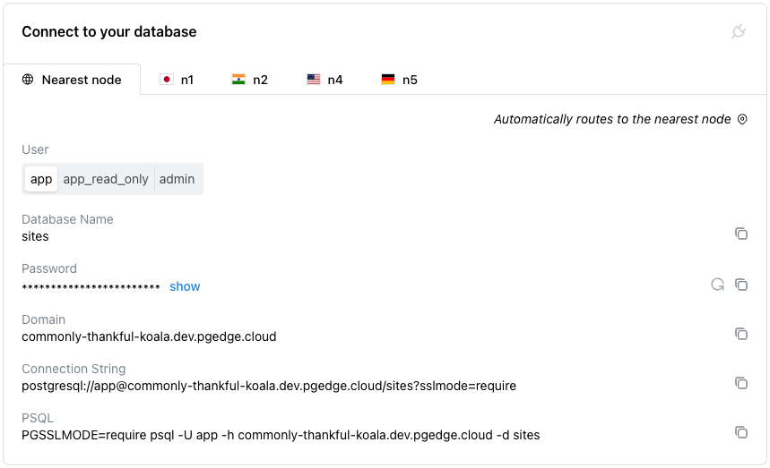 The Connect to your database pane