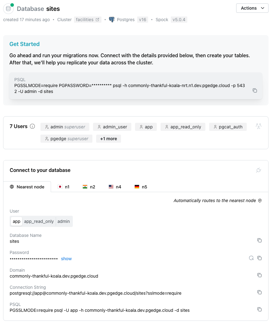 The database console