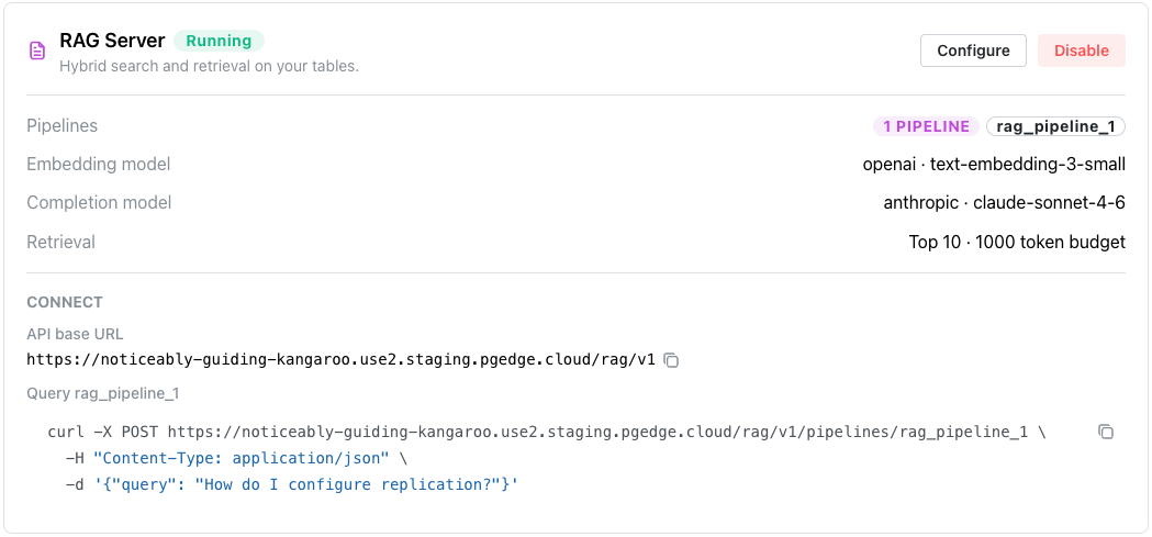 The RAG Server pane showing connection details